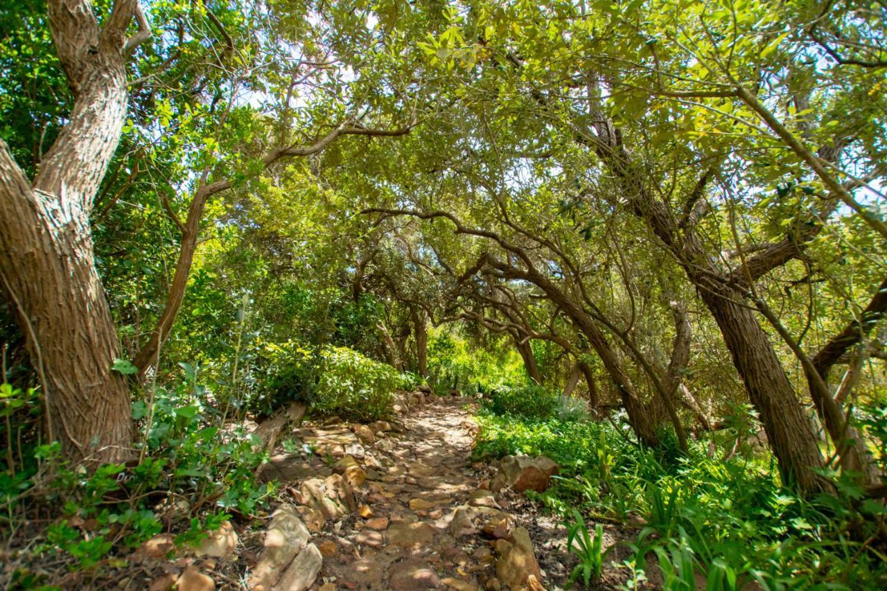 Makapa Lodge Cidade Do Cabo Exterior foto